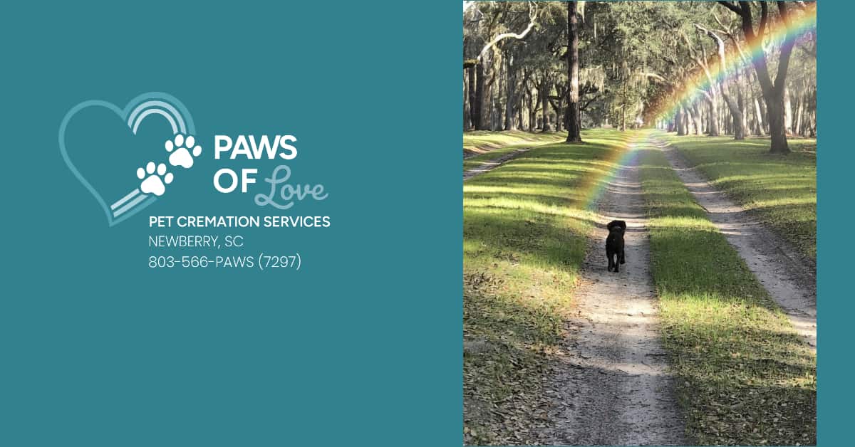 Compassionate Pet Cremation • Newberry SC • Local and Family Owned